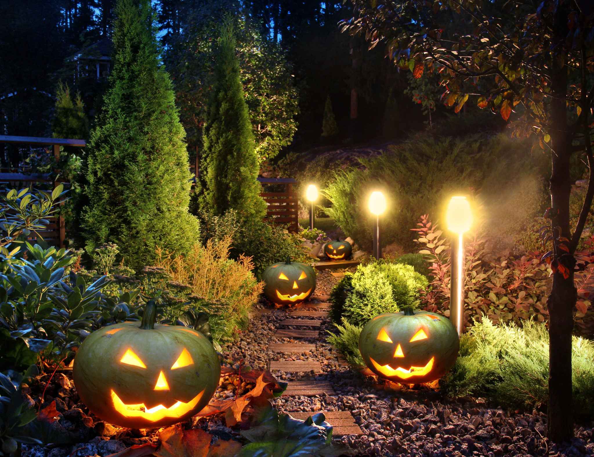 Top Outdoor Lighting Trends in 2021 Decorating Elves